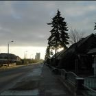 Althöferweg im Frostmorgen