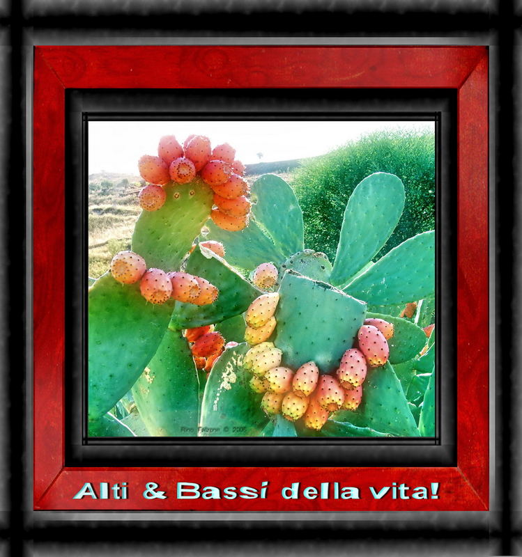 Alti & Bassi della Vita!