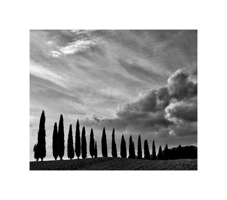 ....alti e schietti.......