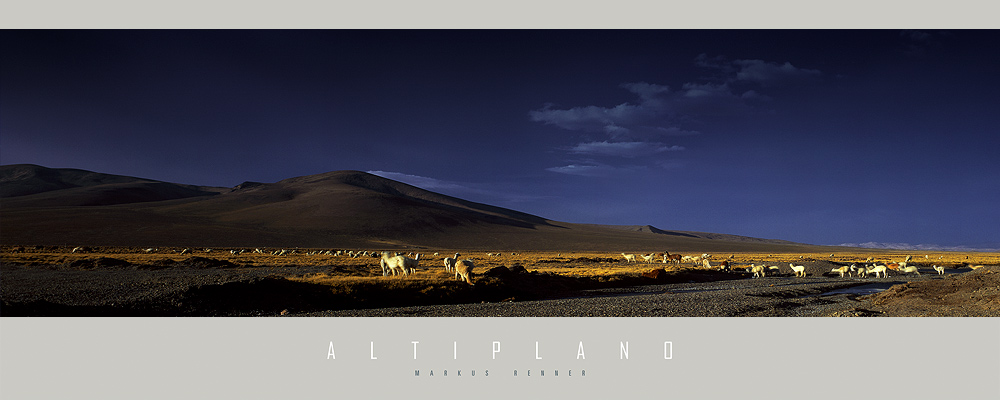 Altiplano