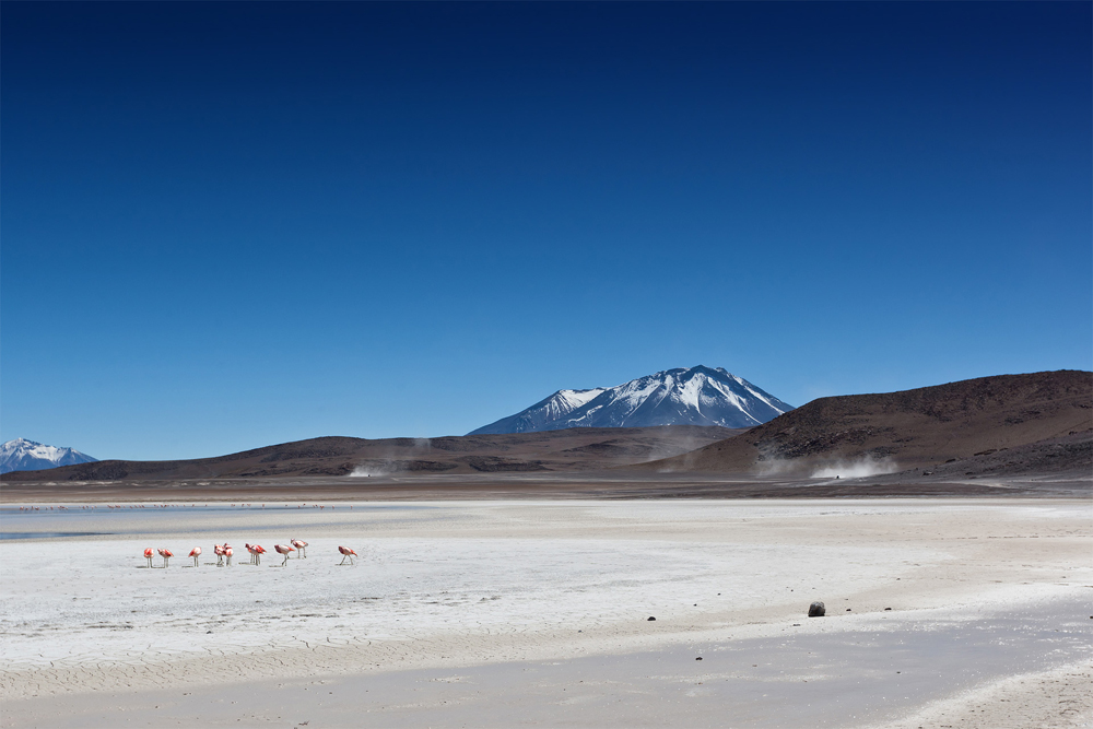 Altiplano