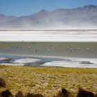 Altiplano 6