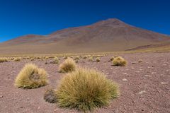 Altiplano