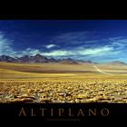 Altiplano