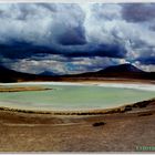Altiplano Boliviano