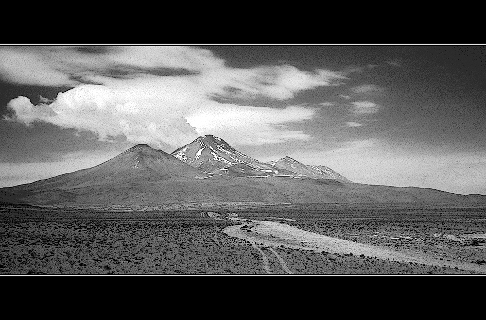 - altiplano boliviano -