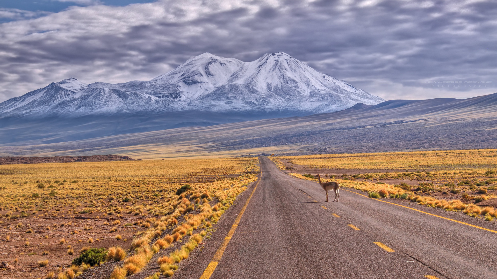 Altiplano chilien