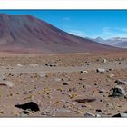 Altiplano