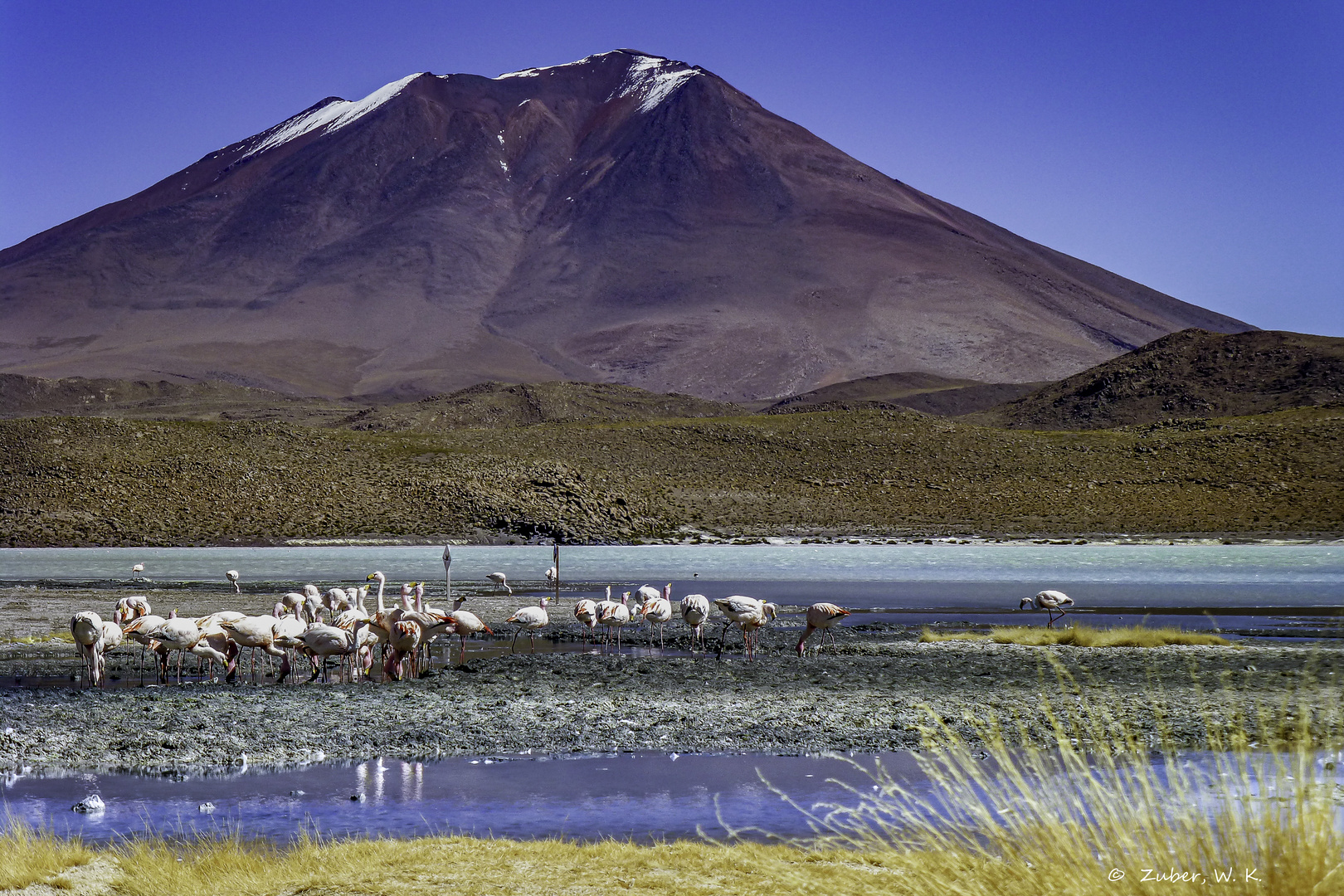 Altiplano:  Farbenfrohe Lagunenidylle ...