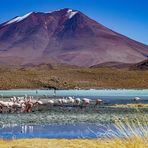 Altiplano: Farbenfrohe Lagunenidylle ...