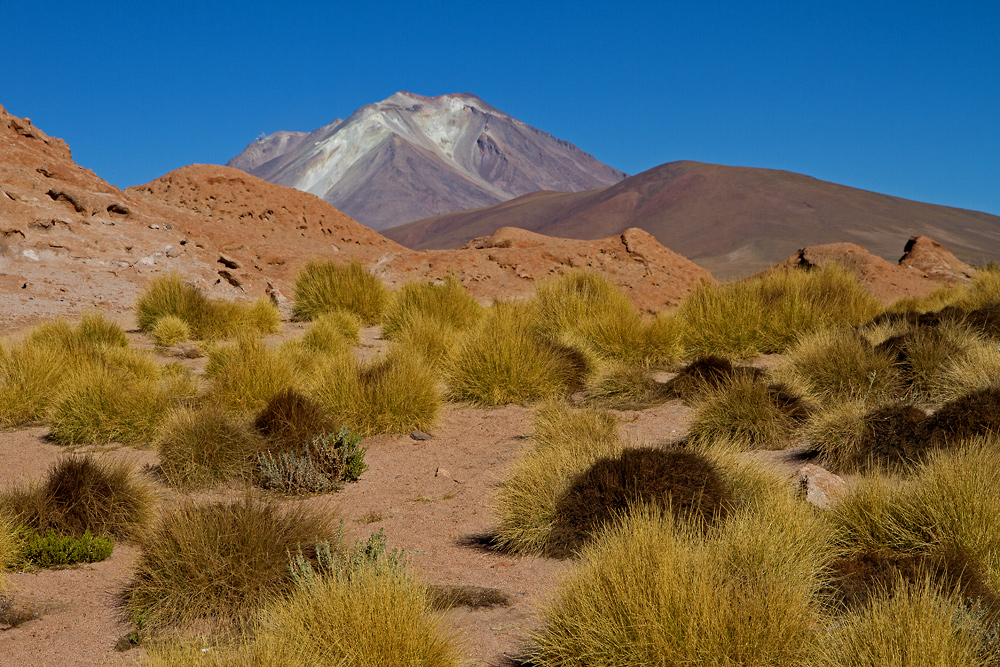 Altiplano in Bolivien