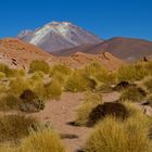 Altiplano in Bolivien