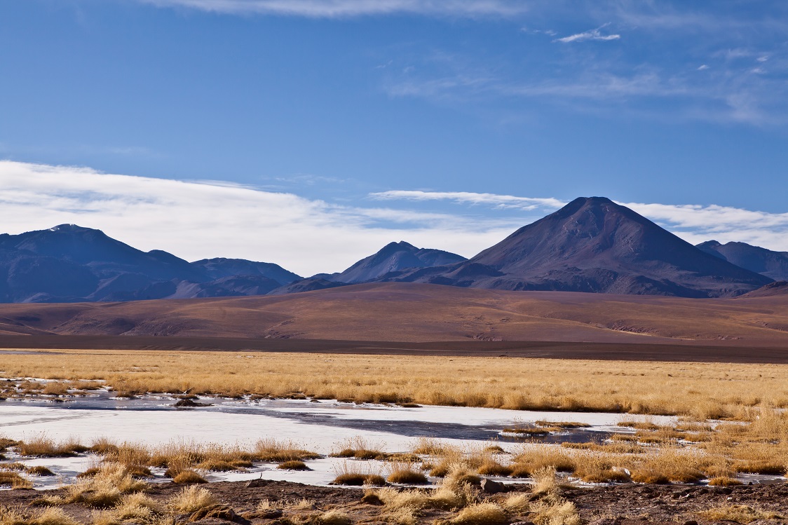 Altiplano in Chile