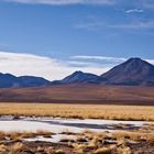 Altiplano in Chile