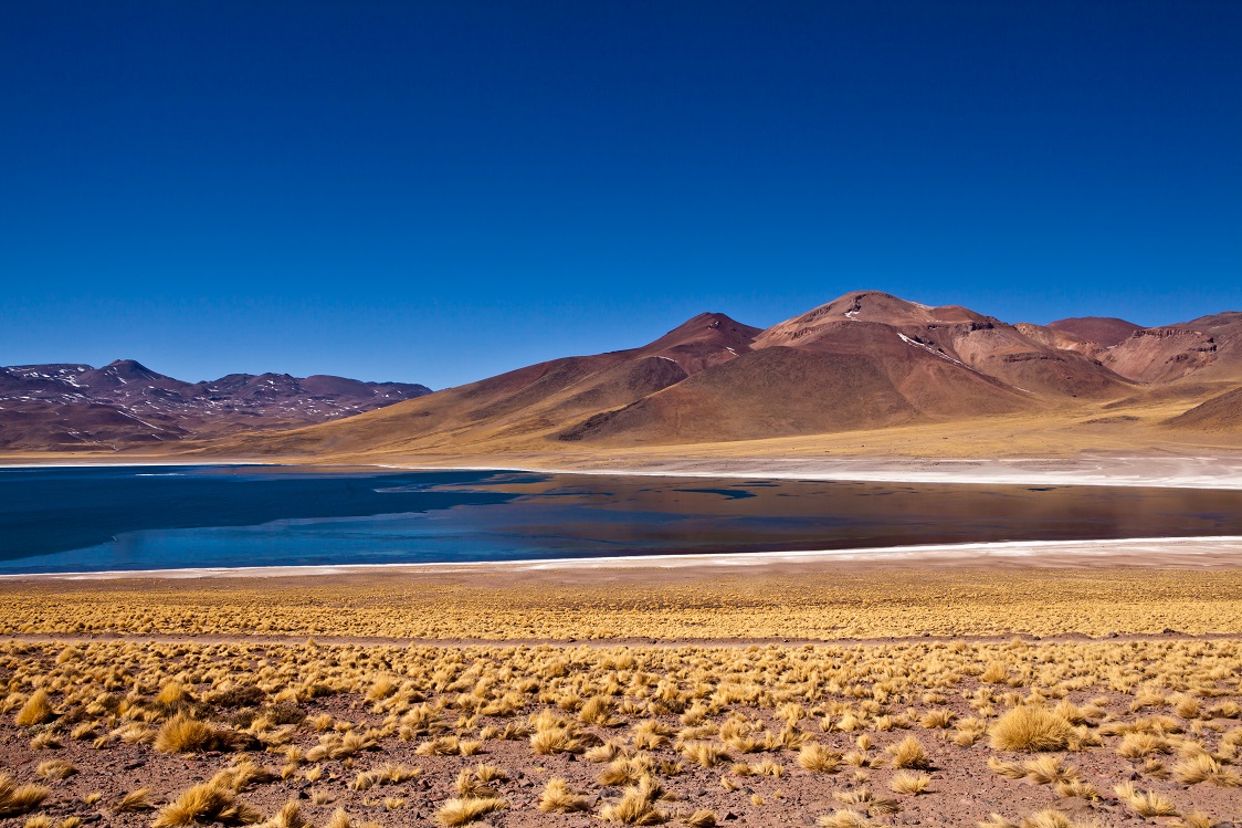 Altiplano in Chile