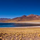 Altiplano in Chile