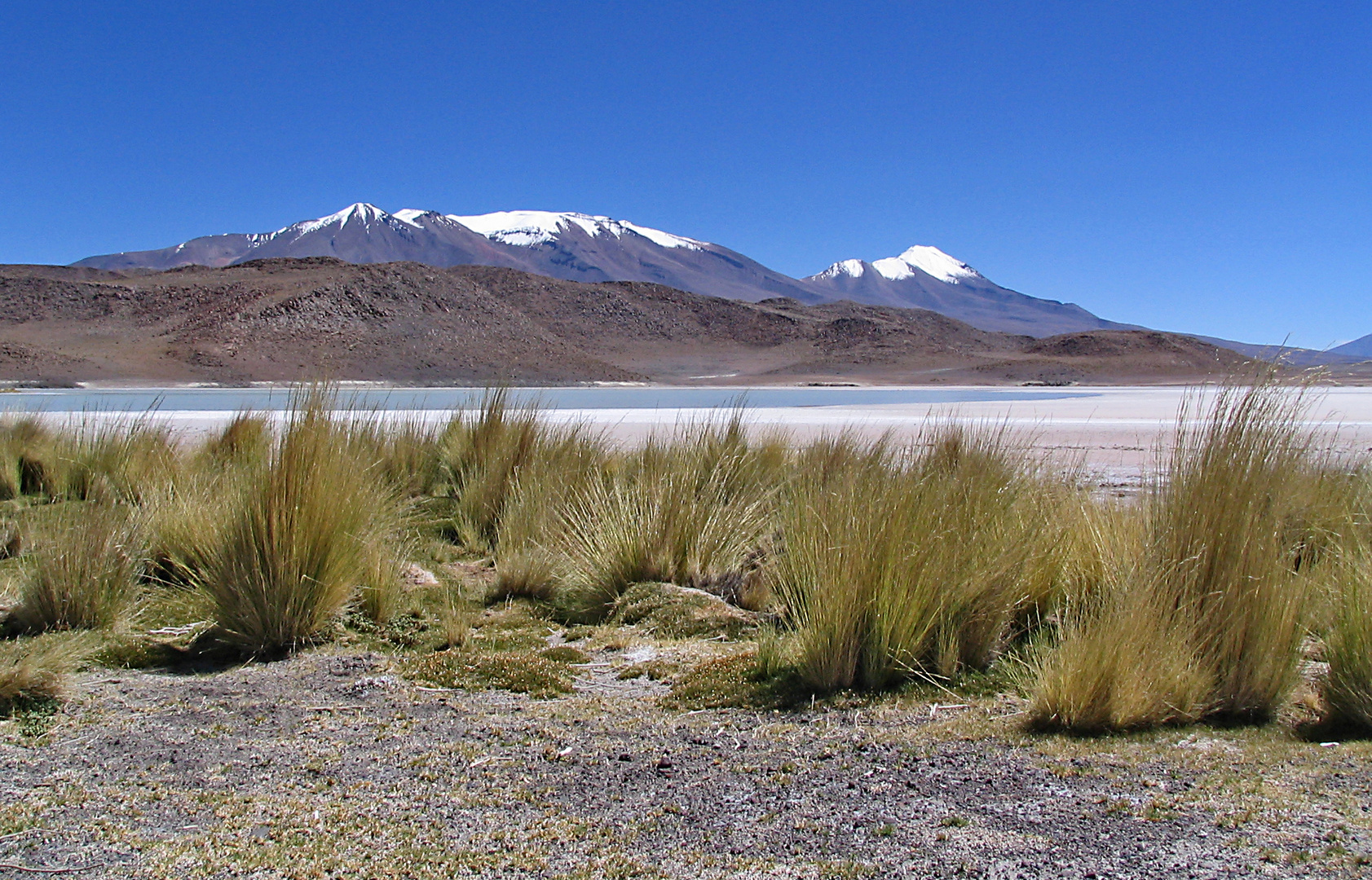 Altiplano - Laguna Hedionda auf ca. 4.105 m Höhe