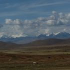 Altiplano mit den Bergen der Anden 2