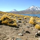 Altiplano/Chile (nächster bekannter Ort: San Pedro de Atacama)