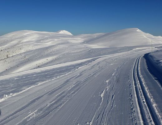 Altitude, Solitude, Zenitude.