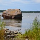 Altja - Findlinge in der Bucht (Juli 2013)