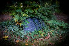 Altkloster Friedhof Buxthu