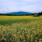 Altkönig, Berg der Kelten und Römer, Schwalbach am Taunus