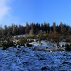 Altkönig / Taunus