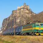  Altlack-Leckerli unterhalb der Burg Schreckenstein