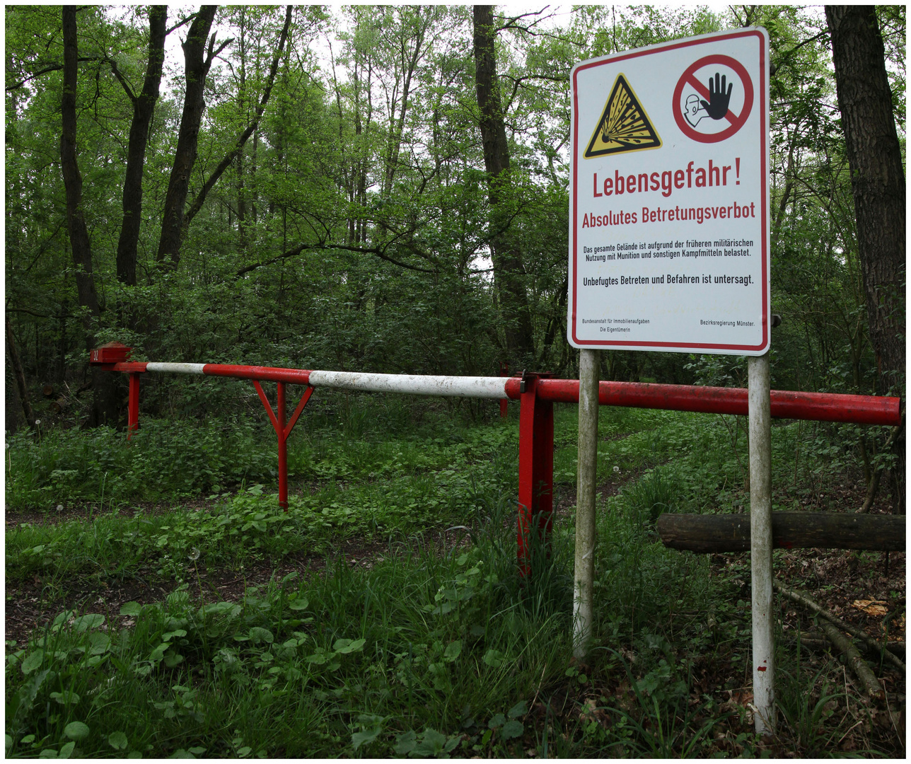 Altlasten im finsteren Wald