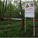 Altlasten im finsteren Wald