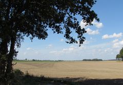 Altmärkische Landschaft bei Salzwedel