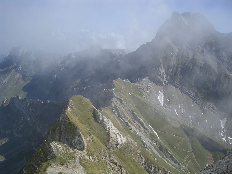 Altmann vom Säntis