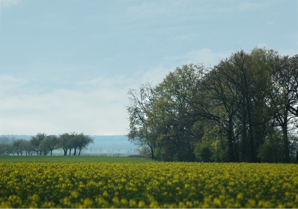 Altmarkblick ins Wendland ...