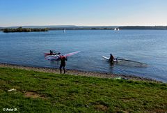 Altmühlsee (10)