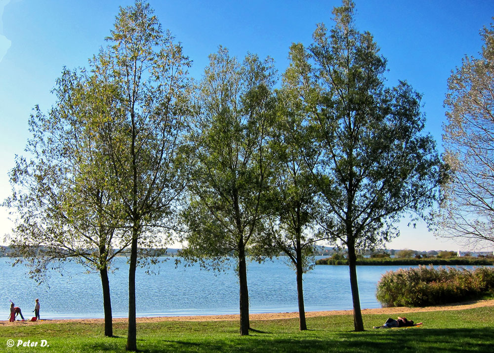 Altmühlsee (7)