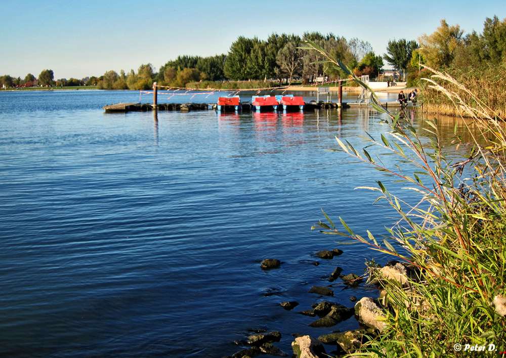 Altmühlsee (8)