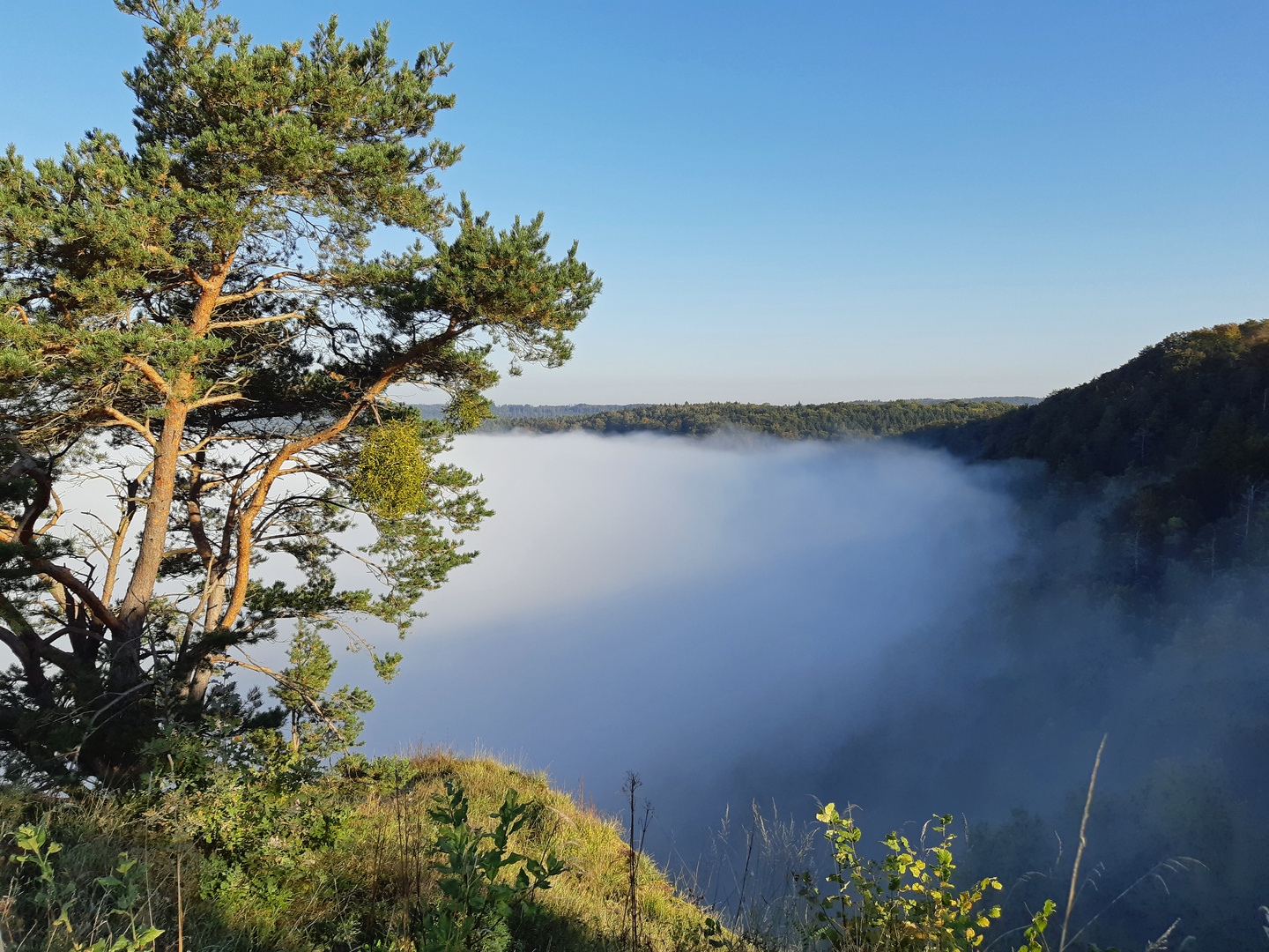 Altmühltal im Nebel (11)