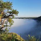 Altmühltal im Nebel (11)