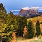 Alto Adige , Herbst
