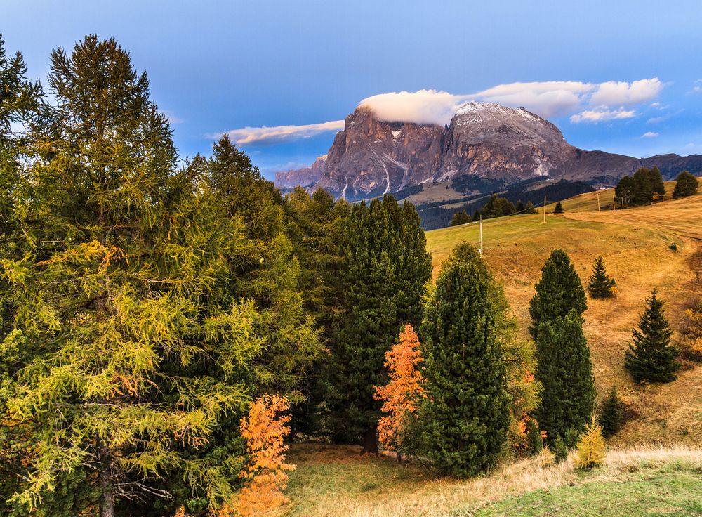 Alto Adige , Herbst