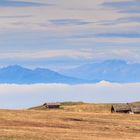 Alto Adige - Tiefer Blick