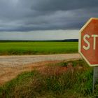 Alto!. Campos de Castilla