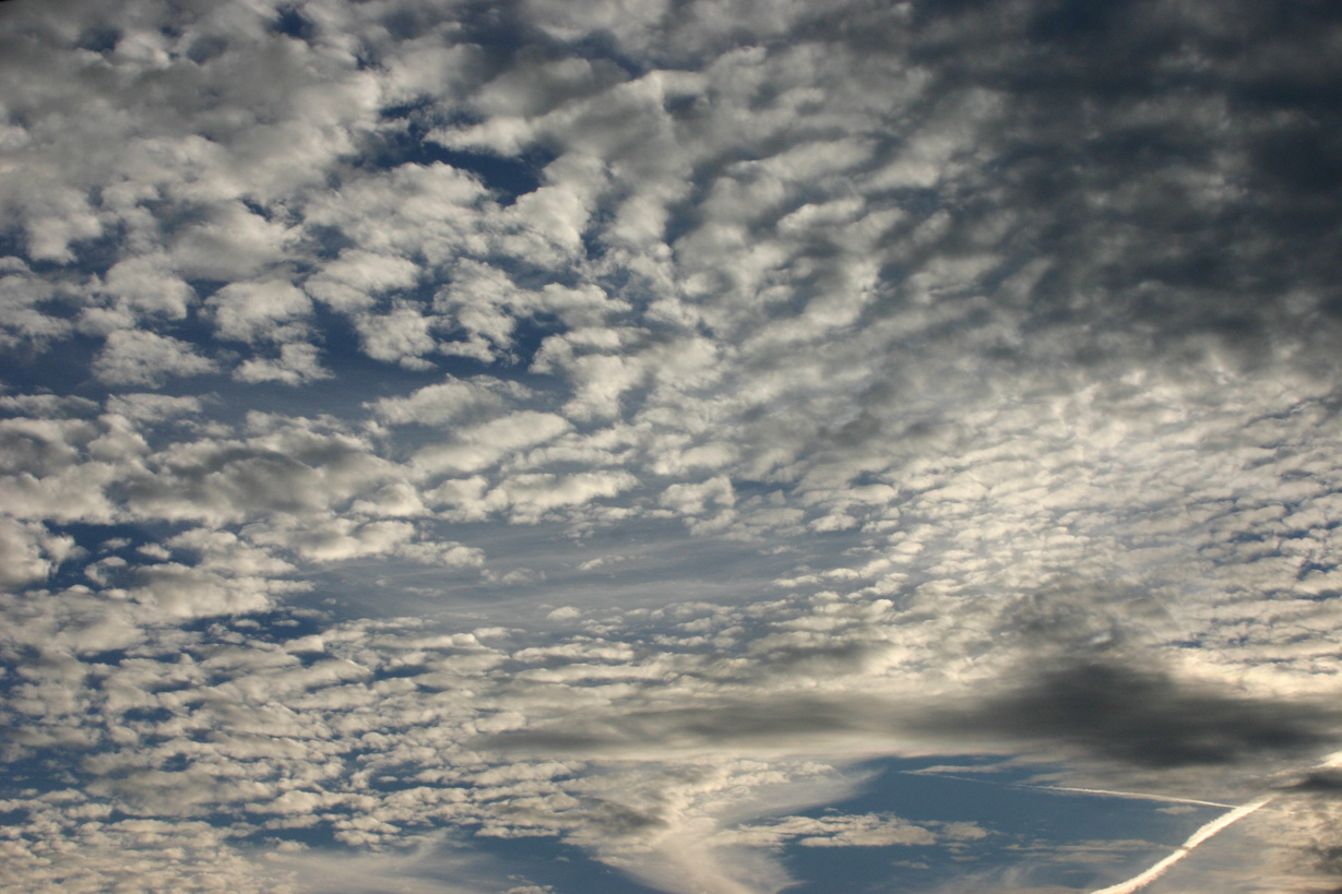 Altocumulus