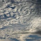 Altocumulus