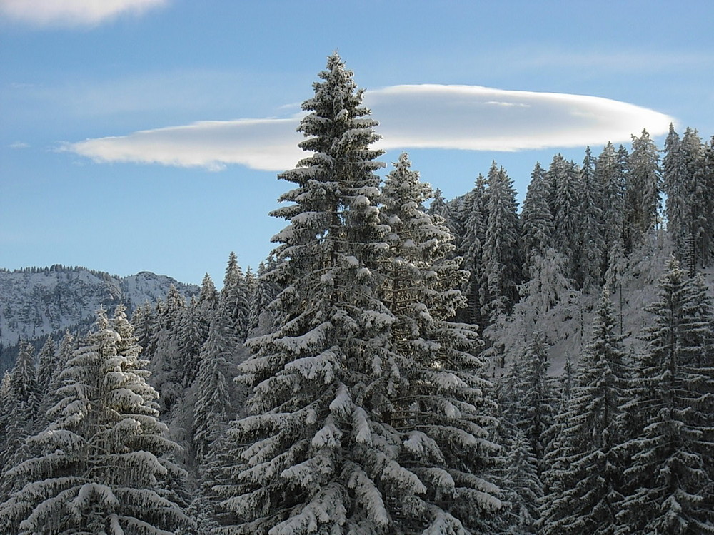 Altocumulus Lenticularis