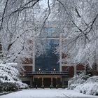 Altonaer Theater im Winter