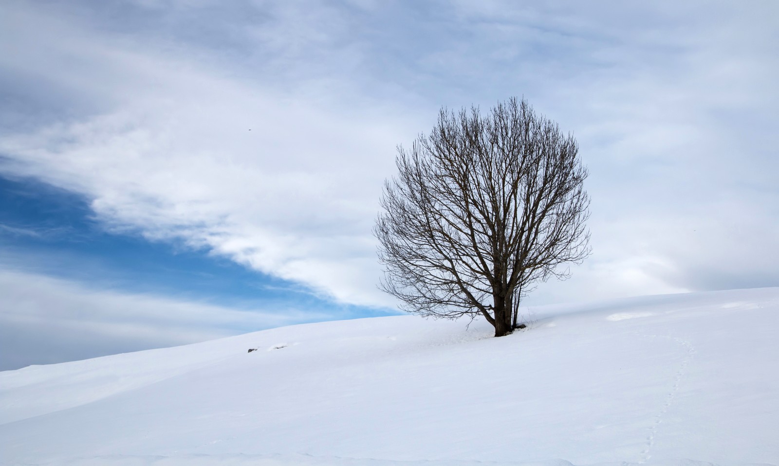 altopiano di Asiago