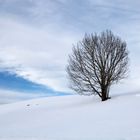 altopiano di Asiago