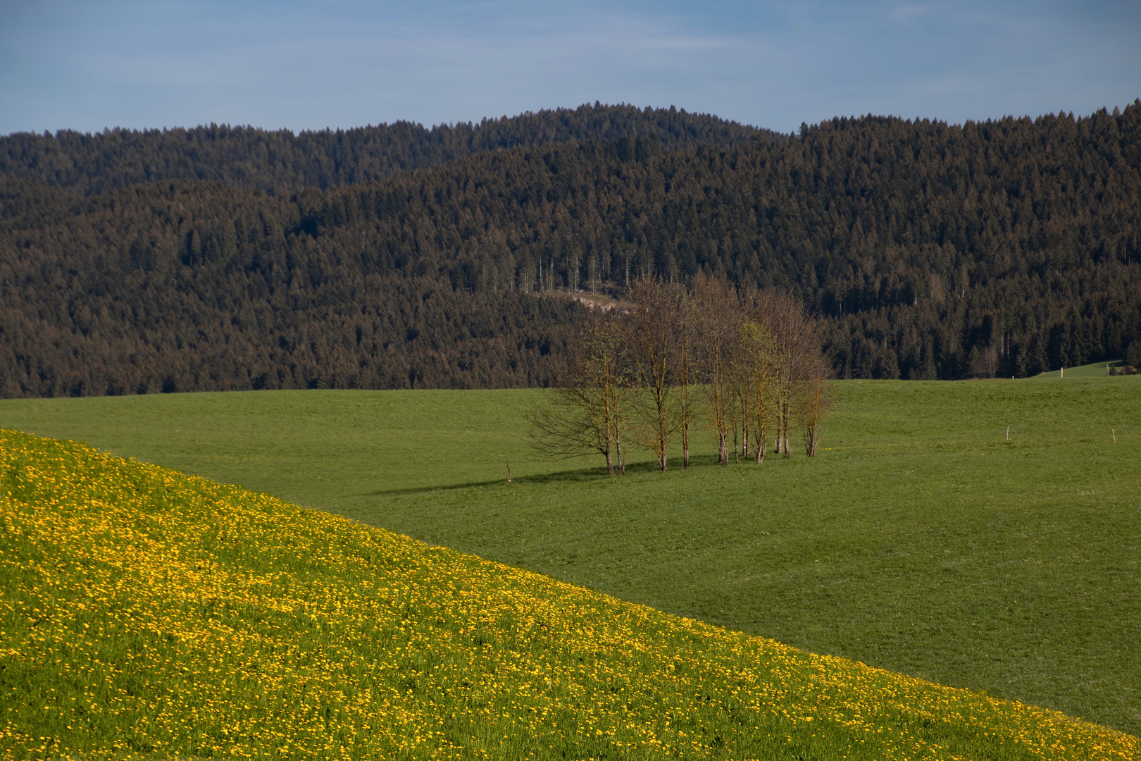 altopiano dii Asiago